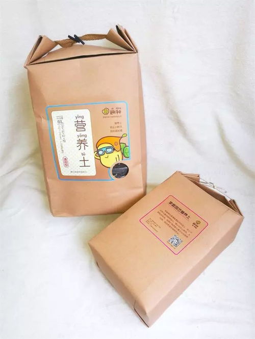 文創(chuàng)設(shè)計(jì)新風(fēng)尚：易經(jīng)八卦文化與親子蔬菜種植品牌的視覺融合