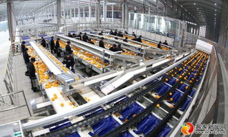 農(nóng)夫山泉信豐工廠竣工投產(chǎn)，打造技術(shù)驅(qū)動(dòng)新標(biāo)桿，預(yù)計(jì)年銷售額達(dá)4.5億元